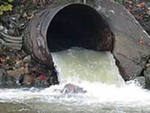В канализацию сбрасываются опасные вещества