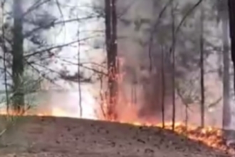 В Барнауле горит лес на одной из улиц