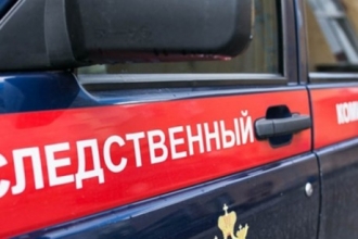 В Новоалтайске неизвестный избил девочку и хотел над ней надругаться