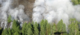 Пожарные все еще работают в Томской области 