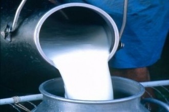 Судебные приставы помогают получить зарплату, отправляя молоко на реализацию