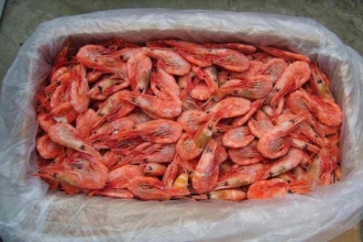 Роспотребнадзор проверил морепродукты и выявил нарушения требований СанПиН