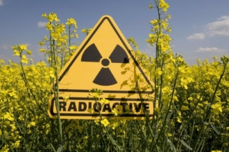 На Алтае не зафиксировали повышенного уровня радиации