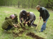 В сентябре в Алтайском крае запланировано проведение Олимпиады для лесоводов