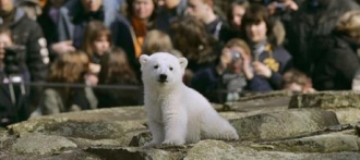 Зоопарк в Барнауле отпразднует 15-летие