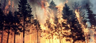 В Барнауле со среды установят особый противопожарный режим