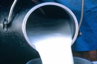 Отказ от самостоятельной ценовой политики сборщиков молока в Шипуновском районе заинтересовал антимонопольщиков