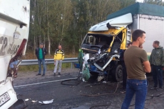 В Алтайском крае произошло столкновение грузовика и автобуса