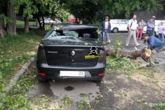 Упавшее дерево раздавило автомобиль в Барнауле