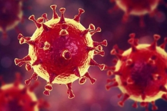 Более 50 человек в Алтайском крае проверили на коронавирус