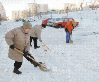 Безработных привлекли к уборке снега, а Дмитрий Егоров стал главрежем МТА