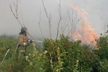 Алтайскому краю могут угрожать пожары из соседнего государства
