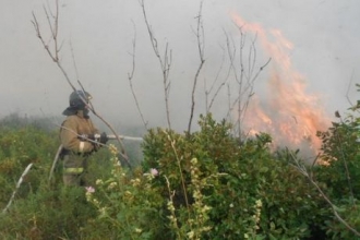 Алтайскому краю могут угрожать пожары из соседнего государства