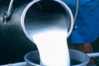 Молока в Алтайском крае произведено больше на 12 тысяч тонн