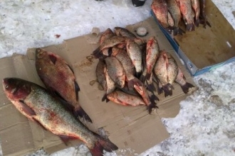Барнаульцам следует с осторожностью покупать рыбу в местах несанкционированной торговли