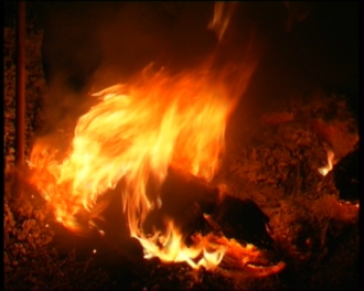 19 сентября огонь мог погубить одно из сел Алтая