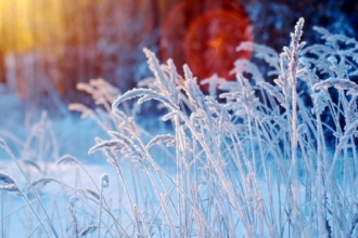 6 февраля в Алтайском крае опять похолодает