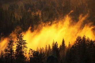 Алтайский край готовят к сезону пожаров лесов