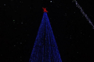 Барнаульская новогодняя елка является второй по высоте в РФ