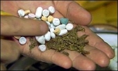 На Алтае сотрудники наркоконтроля изъяли почти 20 килограммов марихуаны