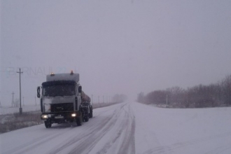 Южные района Алтайского края засыпает снегом