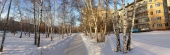 В Барнауле по аллее на улице Георгия Исакова хотят построить снежный городок	