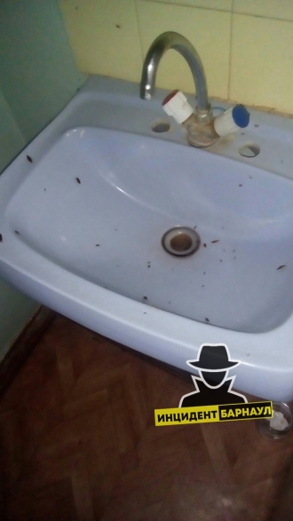 Жители Барнаула жалуются на тараканов в городской больнице №8