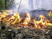 Отдыхающий создал пожар в санатории Алтая