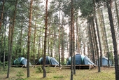 В Алтае организовали лесную летнюю школу для юных защитников природы