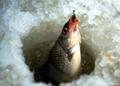 Зимняя рыбалка под запретом