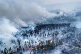 Сотни алтайских пожарных ждут отправки в Красноярский край