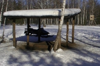 В Алтайском крае оказывают помощь попавшим в ледяную ловушку диким зверям