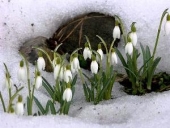 Весна - Алтайский календарь. Морозы до -30ºС 