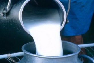 Антимонопольщики подозревают закупщиков молока в сговоре на снижение цены