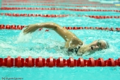 Алтайские спортсмены примут участие в этапе Кубка мира по плаванию