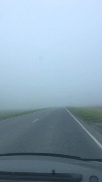 В Алтайском крае трассу окутал сильный туман