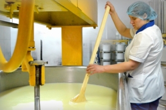 В Международном колледже сыроделия создали новый сорт сыра