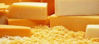 Дни алтайского сыра пройдут еще и в Новосибирске
