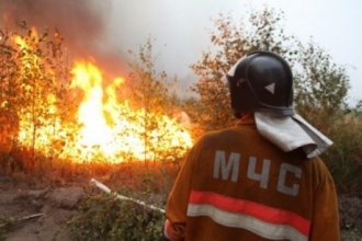 На территории Алтайского края прогнозируют чрезвычайную пожароопасность