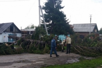В селе Алтайского края прошел ураган, режим ЧС сохраняется
